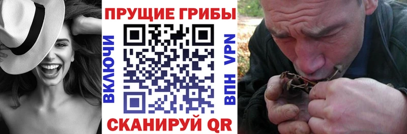 как найти Спасск-Рязанский omg рабочий сайт Псилоцибиновые грибы GOLDEN TEACHER